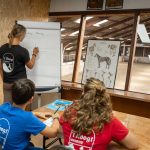 Manege 't Hoogt 06-'25 - DaKo Fotografie (web)-21